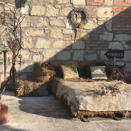 Fertőrákos Madarlatta Vendeghaz酒店 外观 照片